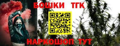 хмурый Дубна