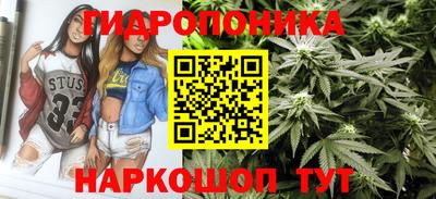 хмурый Дубна