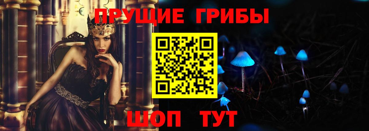Грязи  Псилоцибиновые грибы Psilocybine cubensis  Вход с VPN 