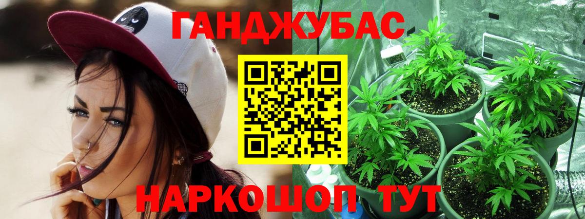 Шишки марихуана конопля Грязи